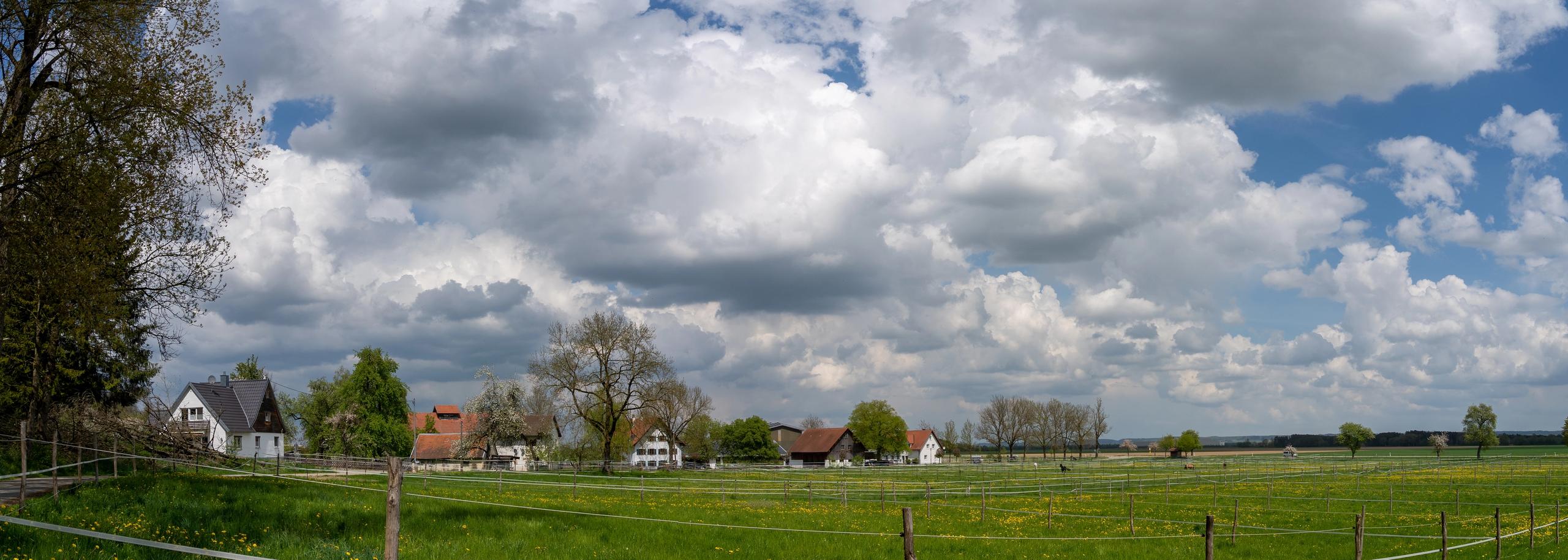 Weiter Blick über die Koppeln und Weiden der Reitsportanlage Haldau im Illertal