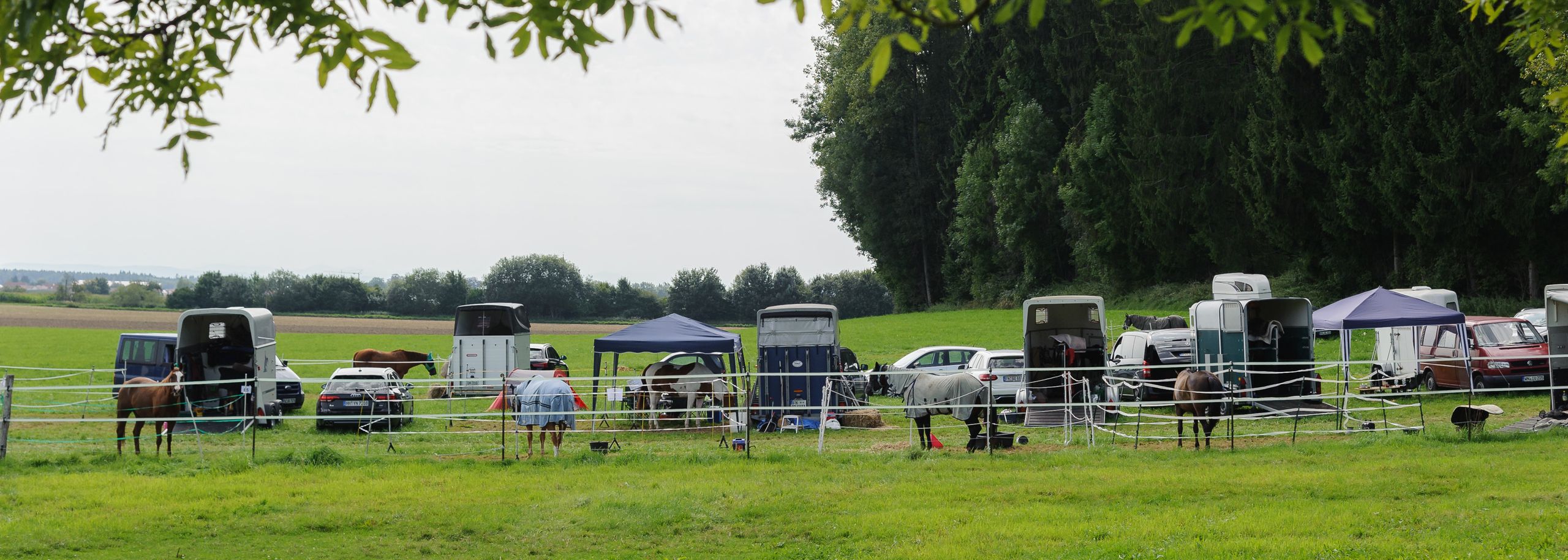 Pferdeanhänger und Pavillons auf der Wiese, davor Pferde in mobilen Paddocks