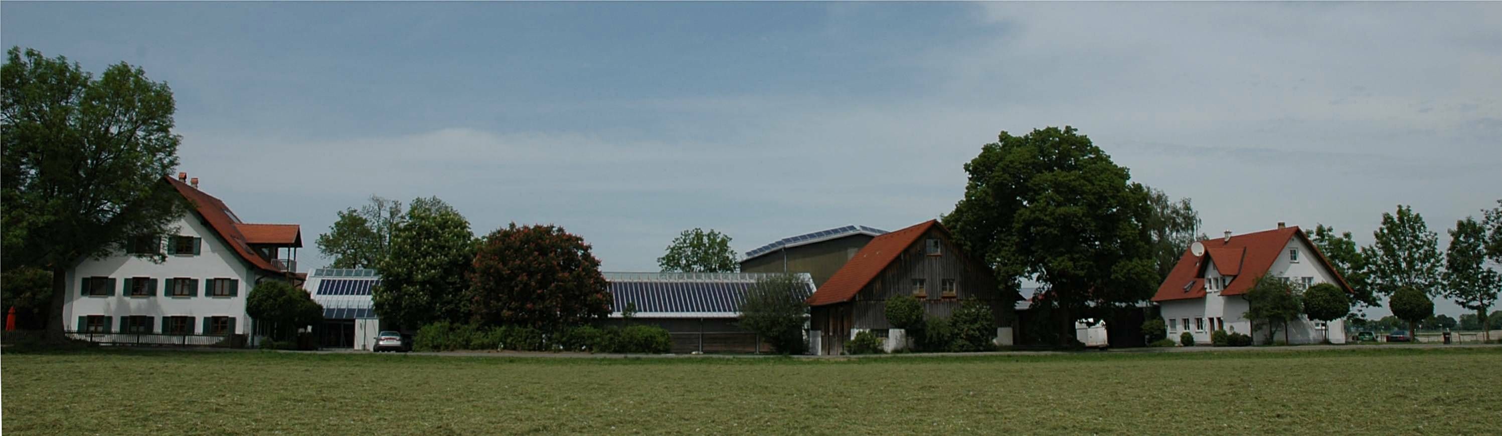 Die Reitsportanlage Haldau von Weitem, eingebettet in Wiesen und Bäume