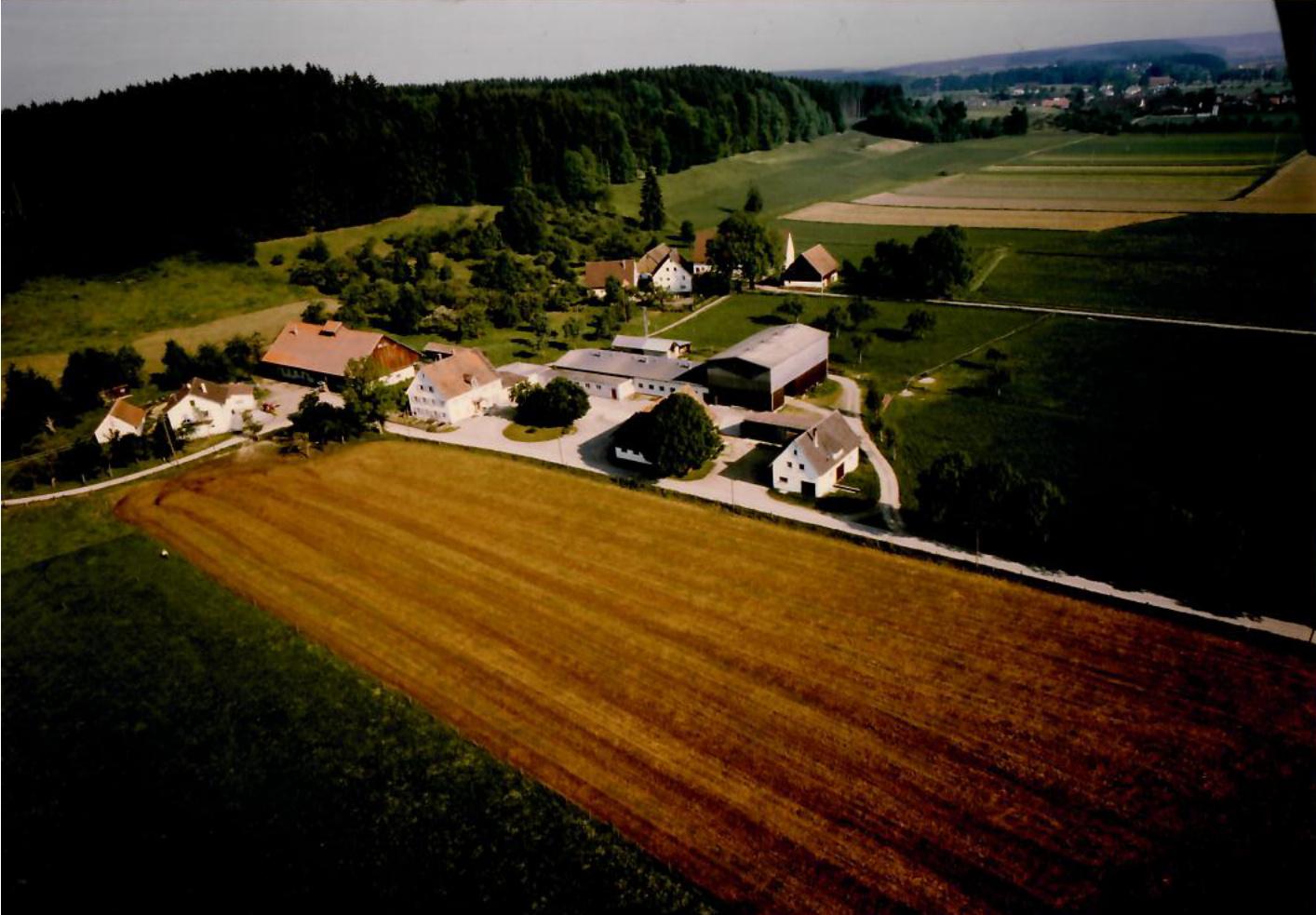 Farbiges Luftbild des Hofs Haldau mit Feldern und Wald, um 1985