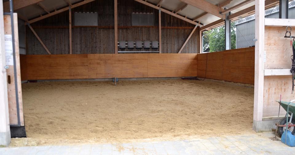 Die Longierhalle 17 x 16 m der Reitsportanlage Haldau mit frisch abgezogenem Sandboden