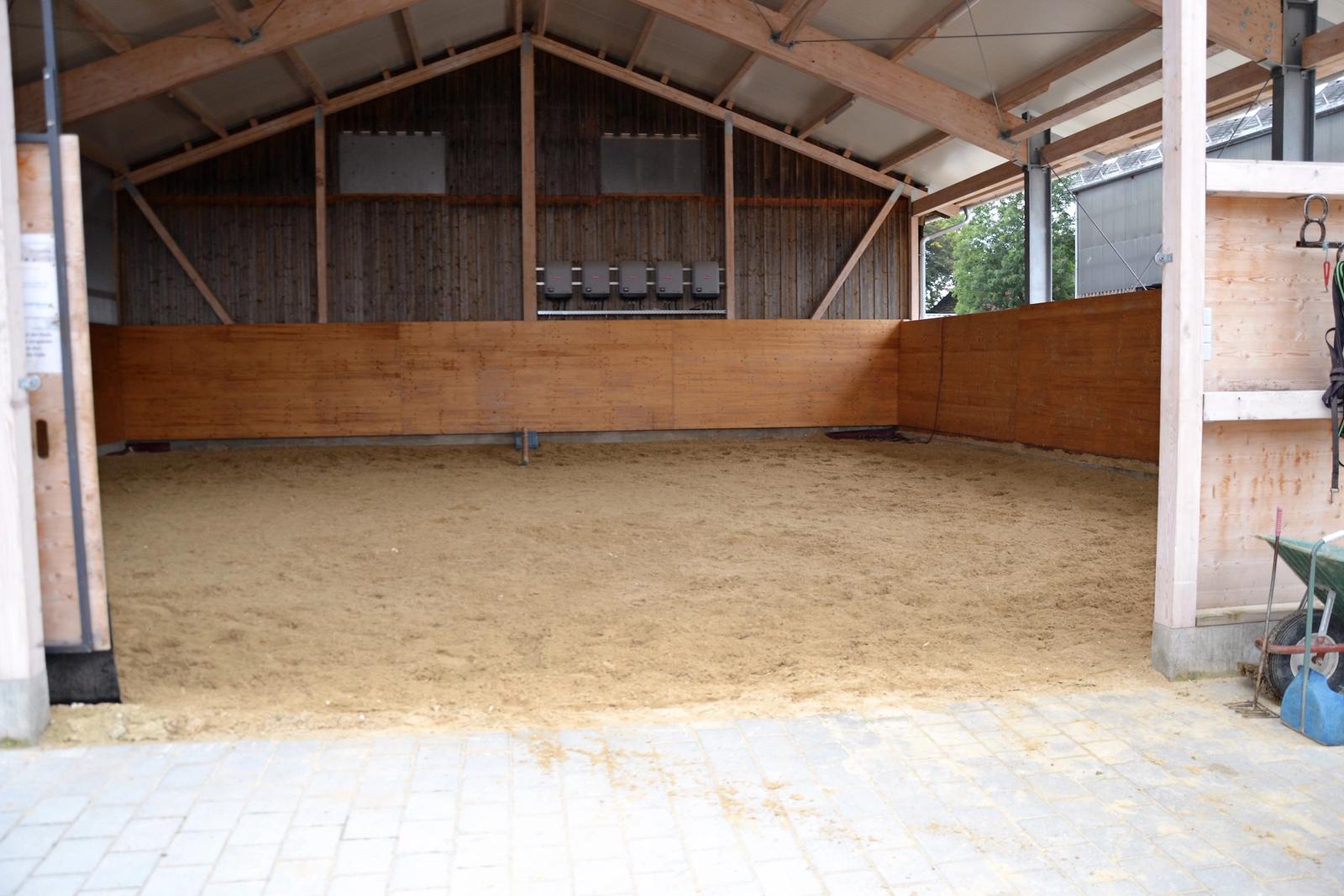 Die Longierhalle 17 x 16 m der Reitsportanlage Haldau mit frisch abgezogenem Sandboden