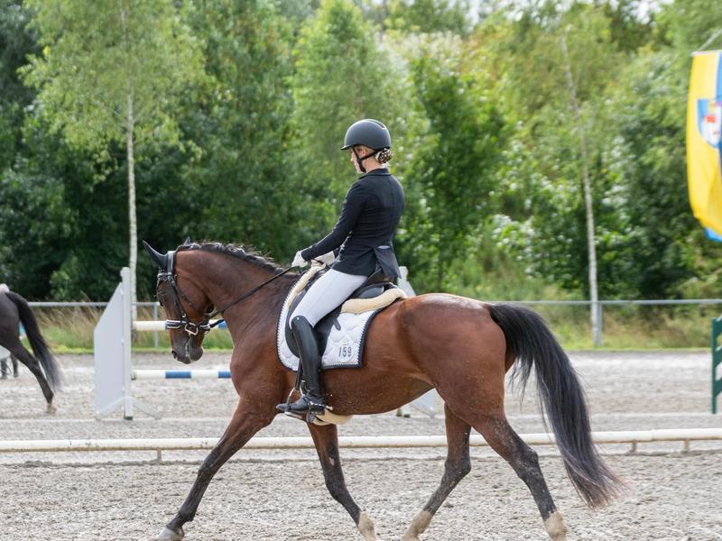 Melanie Müller auf ihrem braunen Pferd im Trab während einer Dressurprüfung