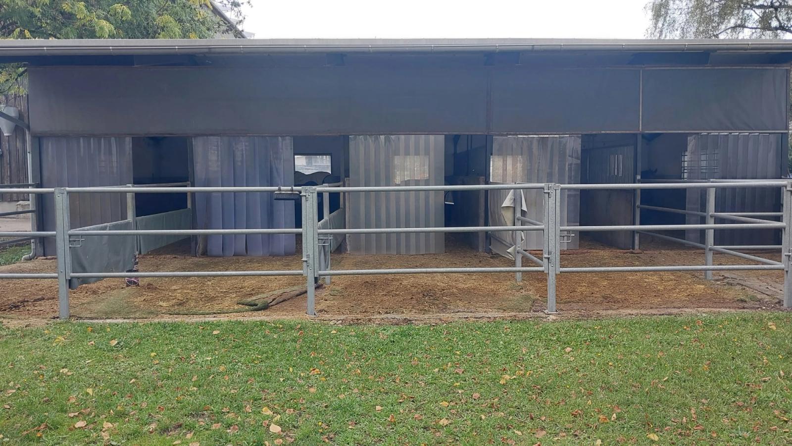 Reihe von Paddockboxen an der Reitsportanlage Haldau – jede Box mit eigenem eingezäunten Auslauf