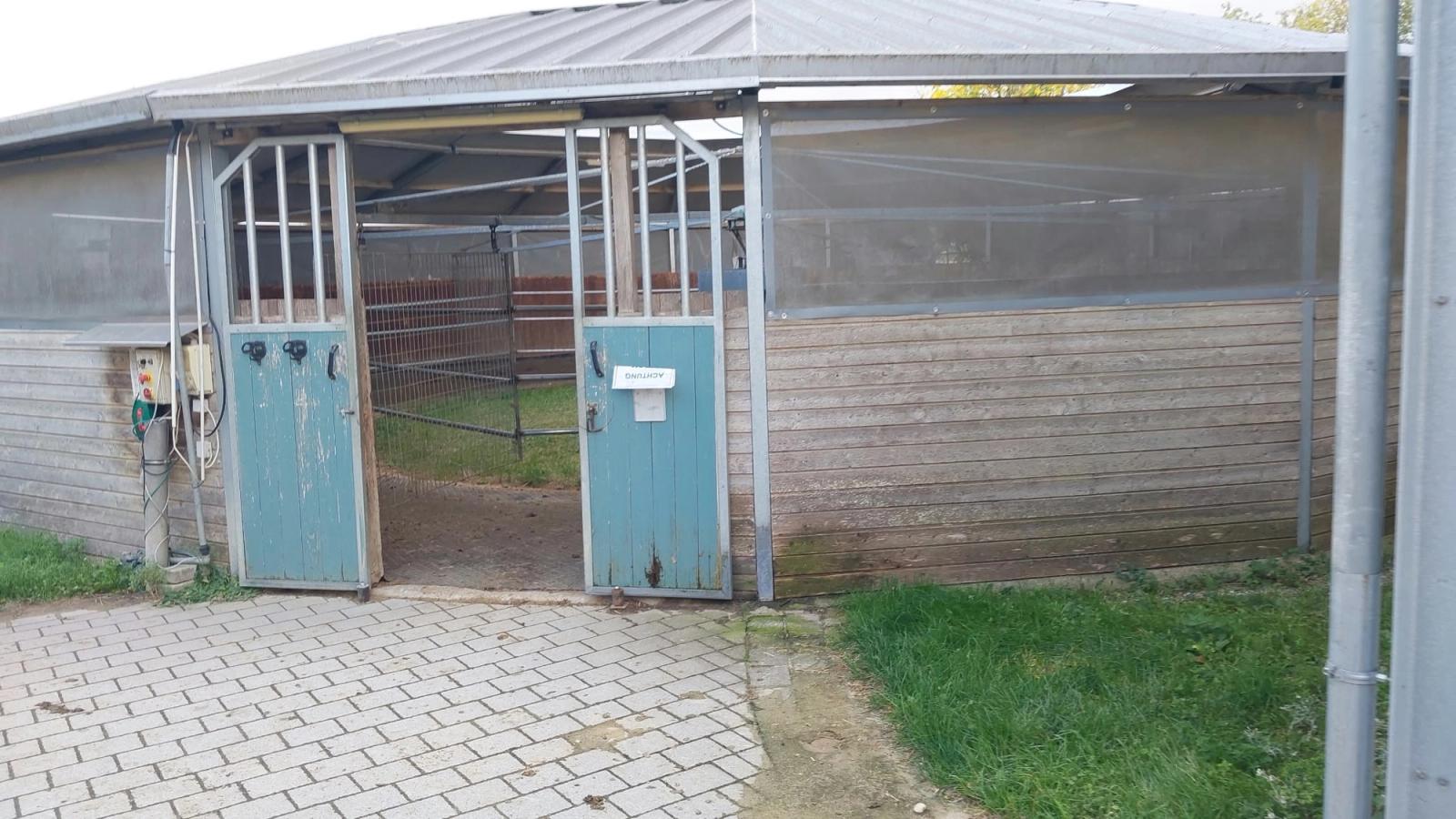 Eingang zur überdachten Führanlage der Reitsportanlage Haldau