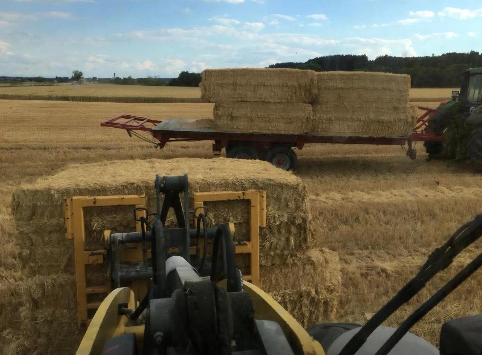 Frontlader lädt Strohballen auf einen Anhänger auf dem abgeernteten Feld