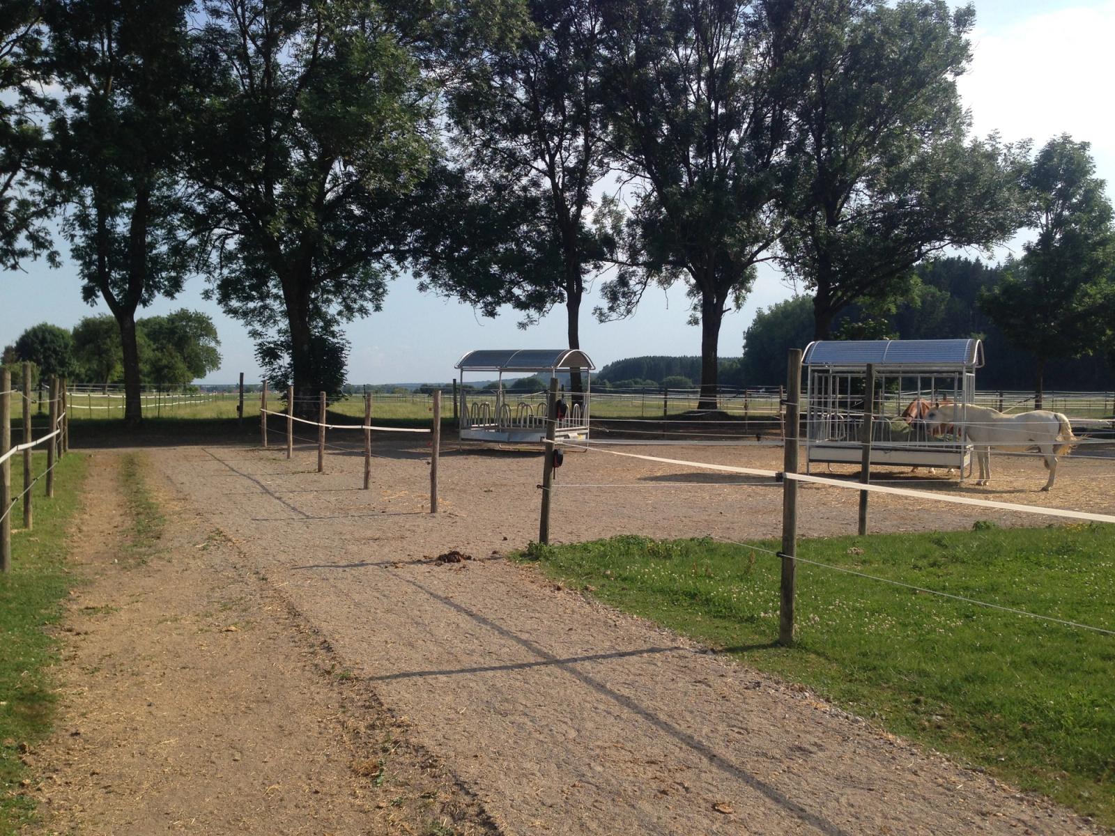 Überdachte Heuraufen im Auslauf der Reitsportanlage Haldau, ein Schimmel frisst
