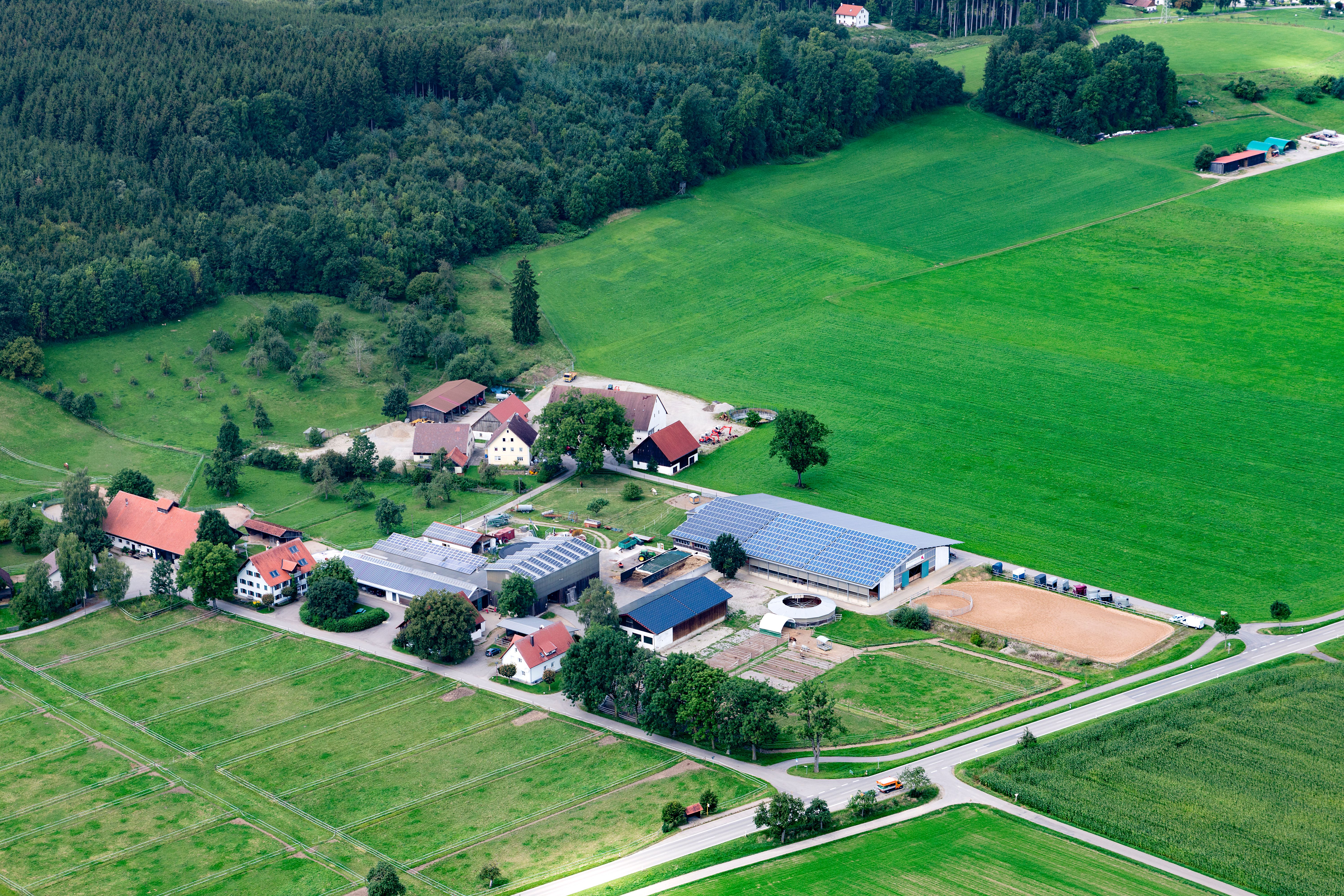 Luftbild der Reitsportanlage Haldau mit Reithalle, Außenplatz, Paddocks und Hof zwischen Wald und Wiesen