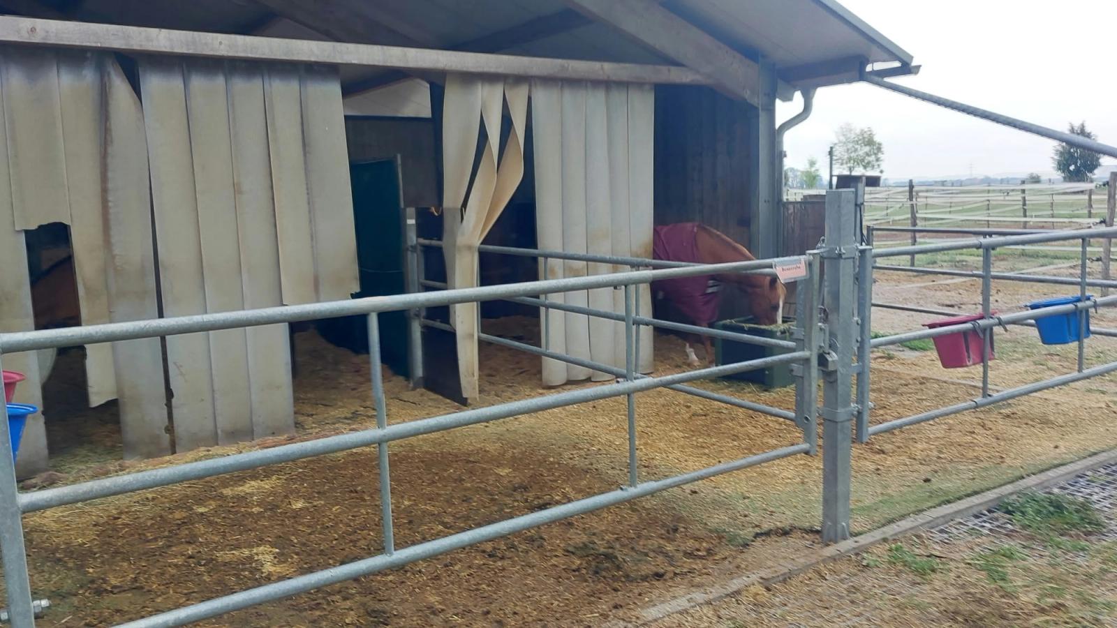 Zwei Paddocks mit Unterstand an der Reitsportanlage Haldau, im Hintergrund Weiden