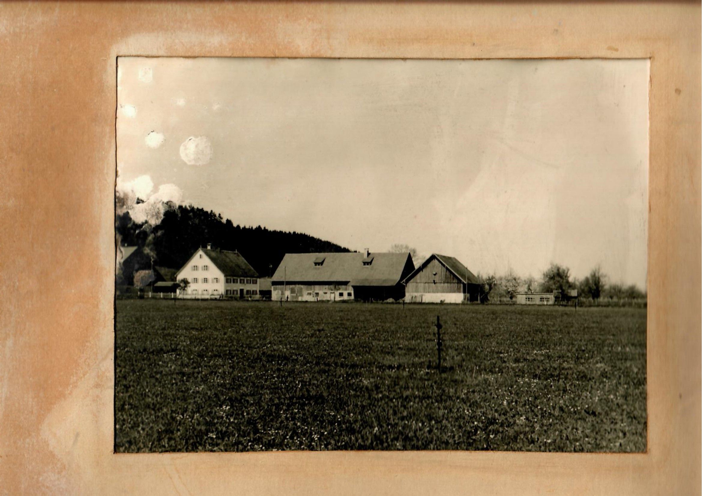 Historische Schwarz-Weiß-Aufnahme des Hofs Haldau mit Wohnhaus und Scheunen um 1924
