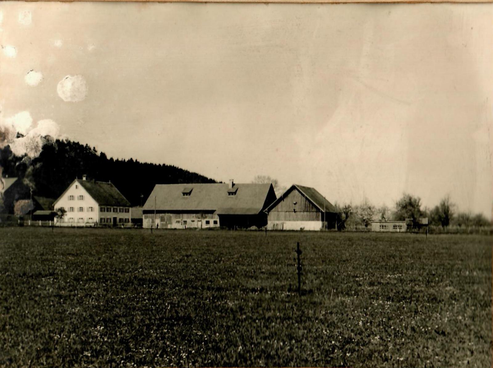 Historische Panoramaaufnahme des Hofs Haldau mit Wohnhaus, Stall und Scheune um 1924